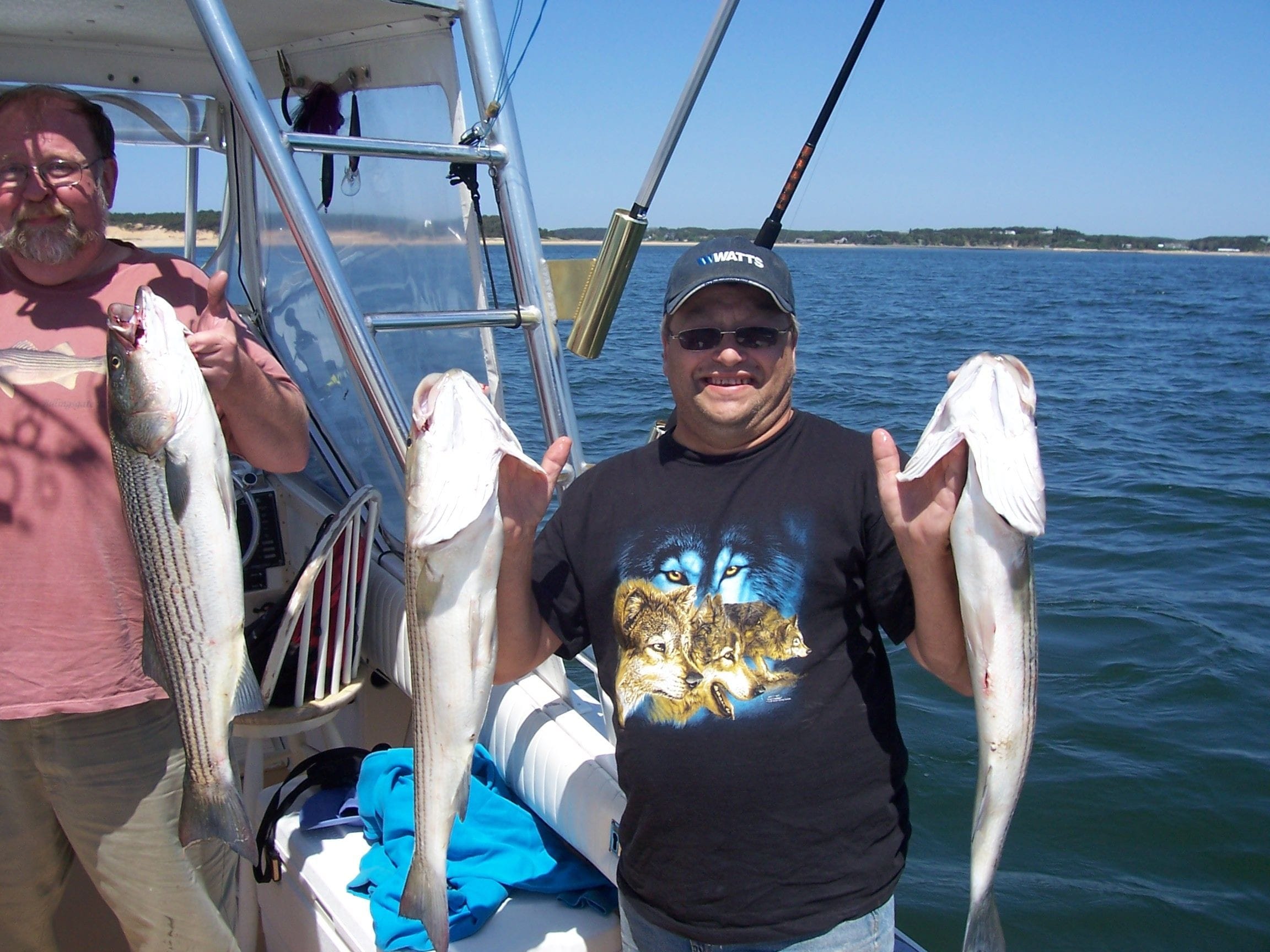 Happy Man Holding Two Striper Fish